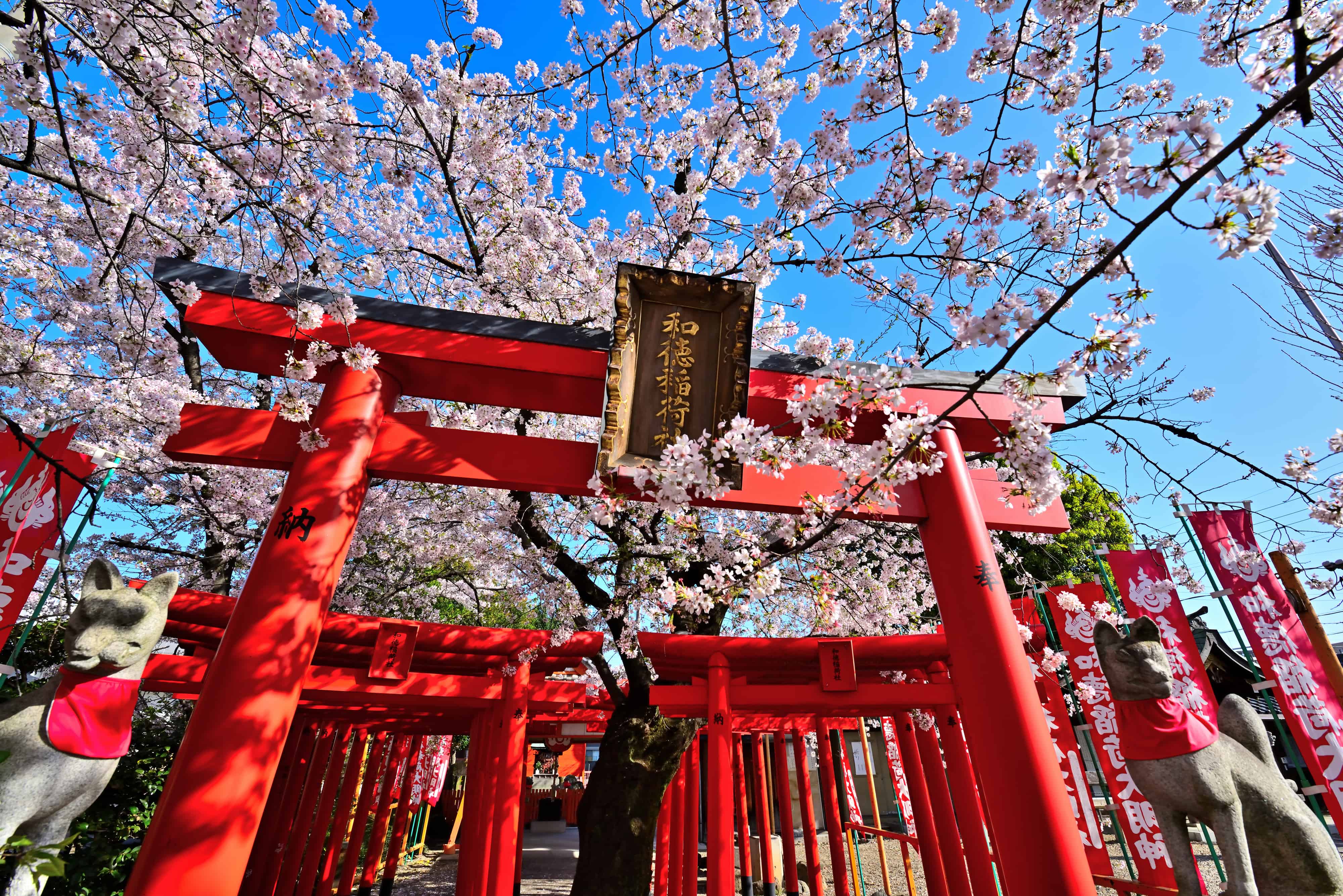 名古屋 8